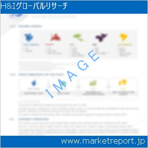 市場と産業調査レポートのイメージ